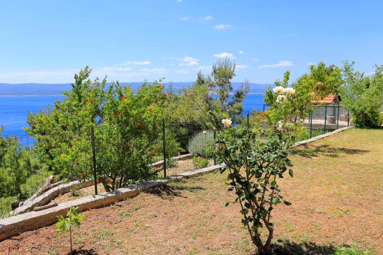 Apartments By The Sea Marusici, Omis - 1024 미미체 외부 사진